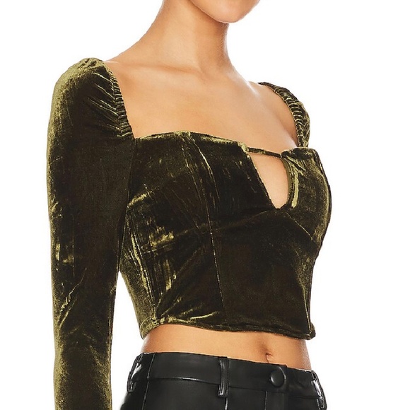 NWT Hansen & Gretel Velvet Meredith Crop Top in Sage Green Size Large - Picture 2 of 11